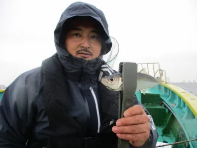 打木屋釣船店の2023年3月28日(火)1枚目の写真