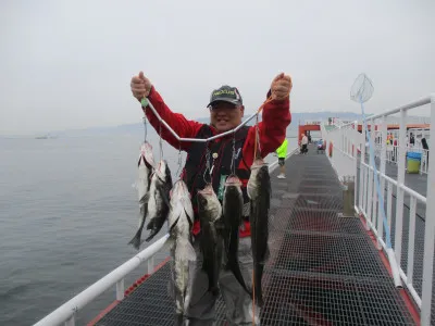 尼崎市立魚つり公園の2023年3月31日(金)2枚目の写真