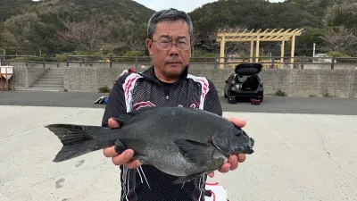 瀬渡し 磯の2023年3月26日(日)3枚目の写真