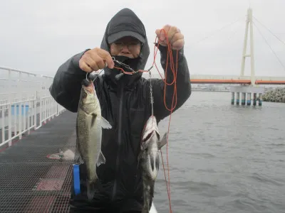 尼崎市立魚つり公園の2023年4月7日(金)1枚目の写真