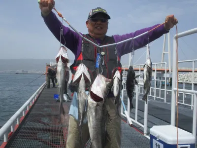尼崎市立魚つり公園の2023年4月14日(金)1枚目の写真