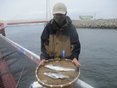 尼崎市立魚つり公園の2023年4月19日(水)1枚目の写真