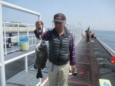 尼崎市立魚つり公園の2023年4月20日(木)1枚目の写真