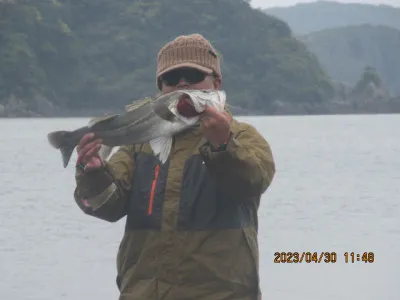 由良海つり公園&釣堀ランドの2023年4月30日(日)1枚目の写真