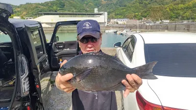 清家渡船の2023年5月3日(水)4枚目の写真