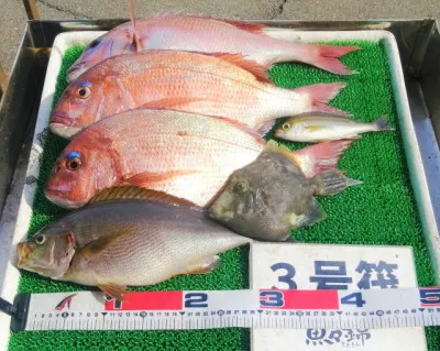三重外湾漁協 錦事業所直営 釣り筏の2023年5月10日(水)1枚目の写真