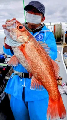 光海丸の2023年5月15日(月)1枚目の写真