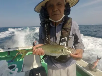 べっぷ丸の2023年5月17日(水)3枚目の写真