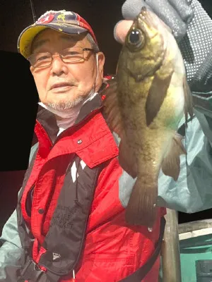 泉佐野マリンライフ（仁王丸・宝来丸・黒潮丸）の2023年5月12日(金)1枚目の写真