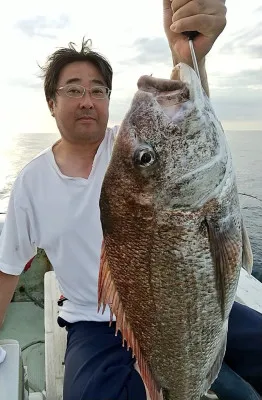 海洋丸の2023年5月27日(土)1枚目の写真