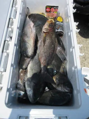 中山総合釣センター・海遊の2023年5月20日(土)4枚目の写真