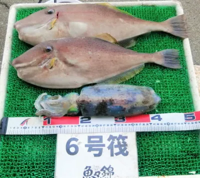 三重外湾漁協 錦事業所直営 釣り筏の2023年5月26日(金)3枚目の写真