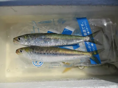 尼崎市立魚つり公園の2023年6月4日(日)3枚目の写真