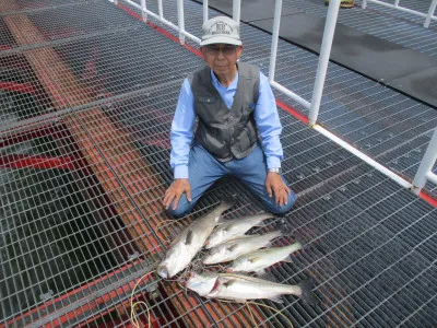 尼崎市立魚つり公園の2023年6月7日(水)1枚目の写真