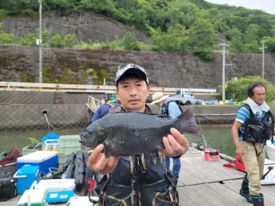 正丸の2023年6月10日(土)1枚目の写真