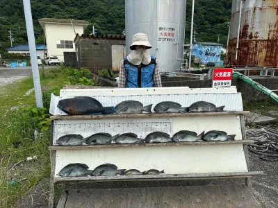 大島フィッシングの2023年6月13日(火)1枚目の写真