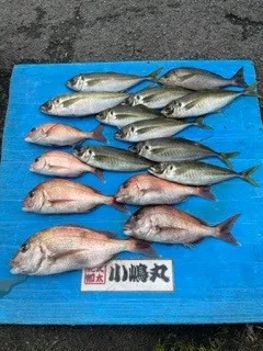 小嶋丸の2023年6月14日(水)2枚目の写真