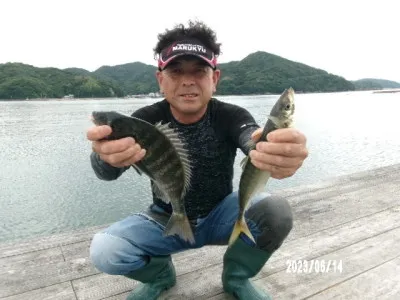 由良海つり公園&釣堀ランドの2023年6月14日(水)2枚目の写真