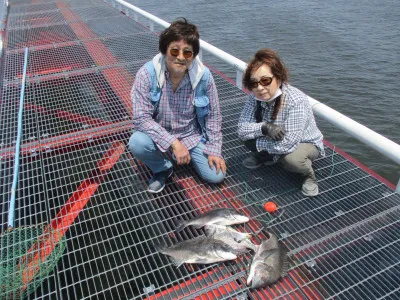 尼崎市立魚つり公園の2023年6月19日(月)1枚目の写真