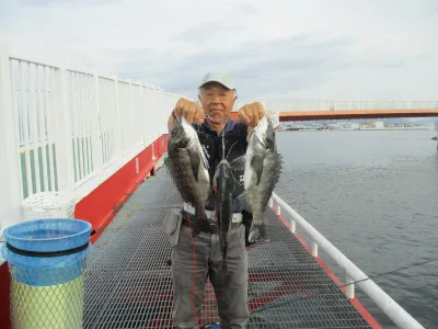 尼崎市立魚つり公園の2023年6月21日(水)2枚目の写真