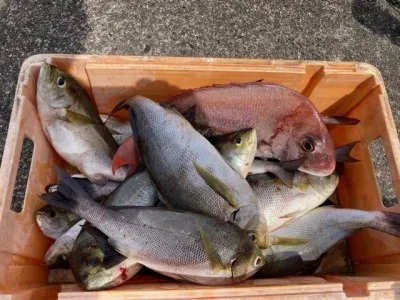 釣り船 黒潮丸の2023年6月28日(水)3枚目の写真