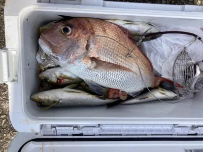 釣り船 黒潮丸の2023年6月28日(水)4枚目の写真