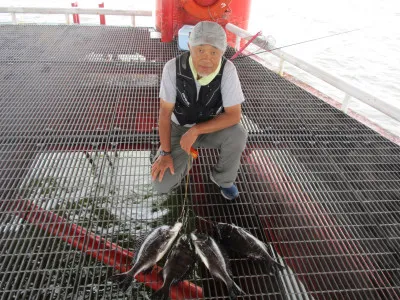 尼崎市立魚つり公園の2023年6月28日(水)1枚目の写真