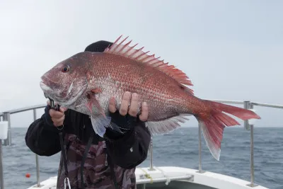 松島シーネットの2023年6月28日(水)3枚目の写真