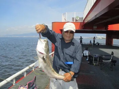 尼崎市立魚つり公園の2023年6月29日(木)3枚目の写真