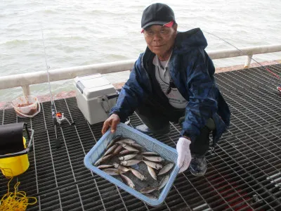 尼崎市立魚つり公園の2023年6月30日(金)2枚目の写真