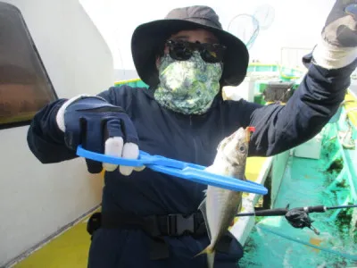 打木屋釣船店の2023年6月28日(水)5枚目の写真