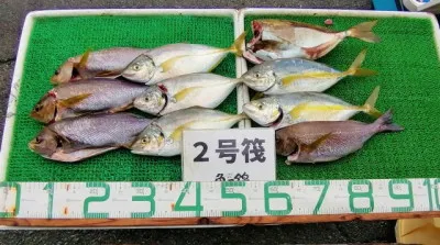 三重外湾漁協 錦事業所直営 釣り筏の2023年6月15日(木)1枚目の写真