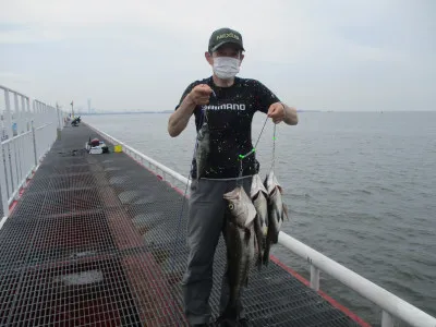 尼崎市立魚つり公園の2023年7月3日(月)3枚目の写真