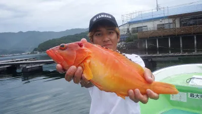 真珠・山本釣り筏の2023年6月28日(水)1枚目の写真