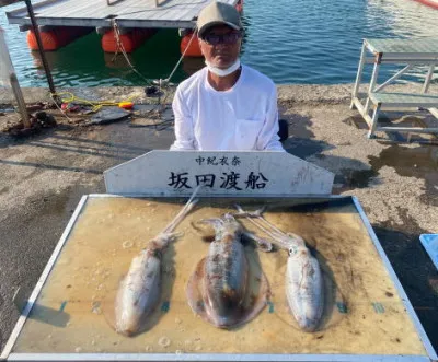 坂田渡船の2023年6月19日(月)2枚目の写真