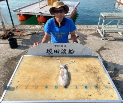 坂田渡船の2023年6月20日(火)3枚目の写真