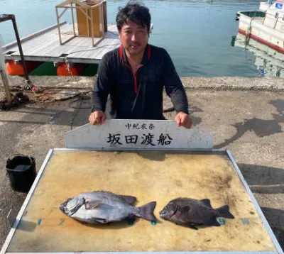 坂田渡船の2023年6月24日(土)4枚目の写真