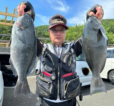 瀬渡し 磯の2023年7月2日(日)1枚目の写真