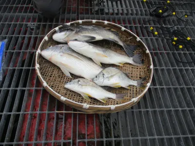 尼崎市立魚つり公園の2023年7月5日(水)4枚目の写真