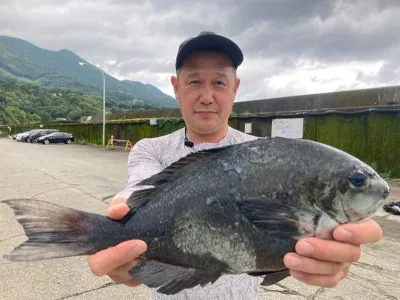 大ちゃん渡船の2023年6月21日(水)1枚目の写真