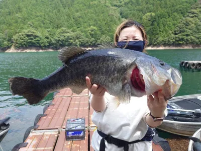 Y企画の2023年7月12日(水)2枚目の写真