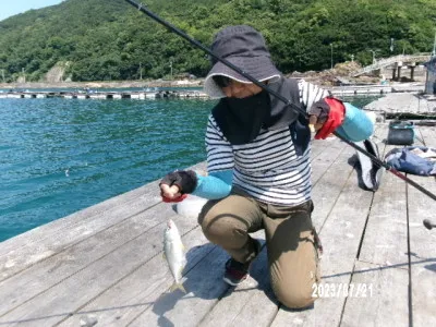 由良海つり公園&釣堀ランドの2023年7月21日(金)2枚目の写真