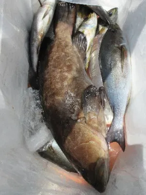 中山総合釣センター・海遊の2023年7月17日(月)2枚目の写真