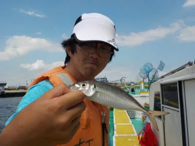 打木屋釣船店の2023年7月21日(金)3枚目の写真