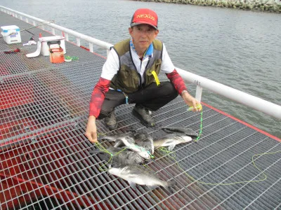尼崎市立魚つり公園の2023年7月31日(月)2枚目の写真