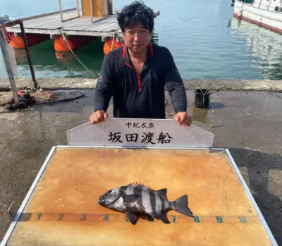 坂田渡船の2023年7月30日(日)2枚目の写真