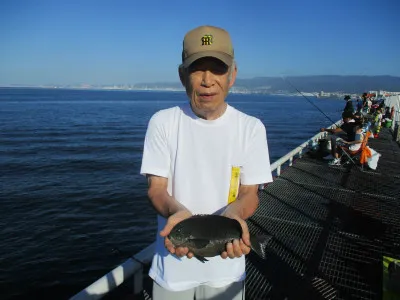 尼崎市立魚つり公園の2023年8月12日(土)2枚目の写真
