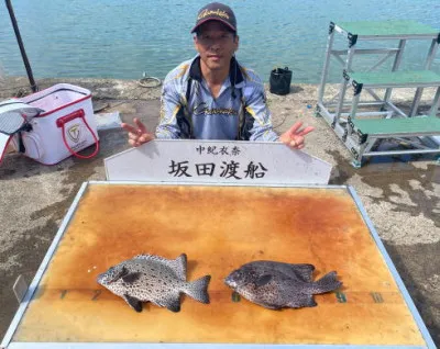 坂田渡船の2023年8月27日(日)1枚目の写真