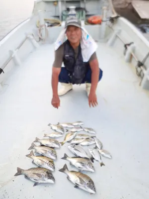 安乗釣センターの2023年8月31日(木)1枚目の写真