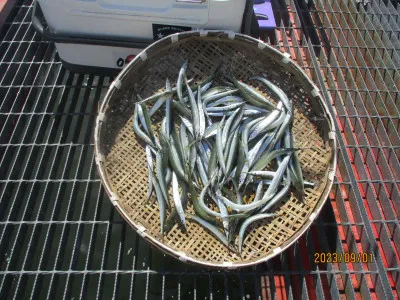 尼崎市立魚つり公園の2023年9月1日(金)1枚目の写真
